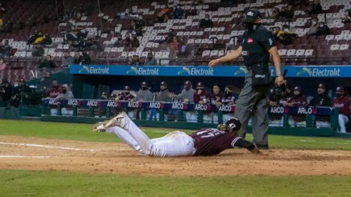 TOMATEROS UNO