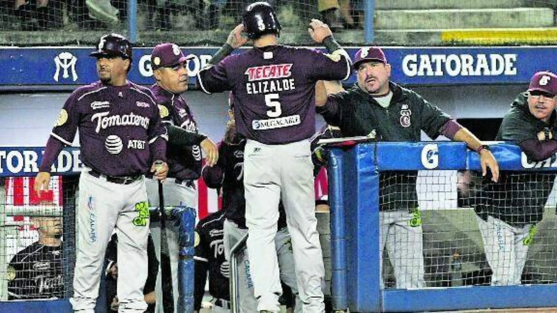 TOMATEROS9D