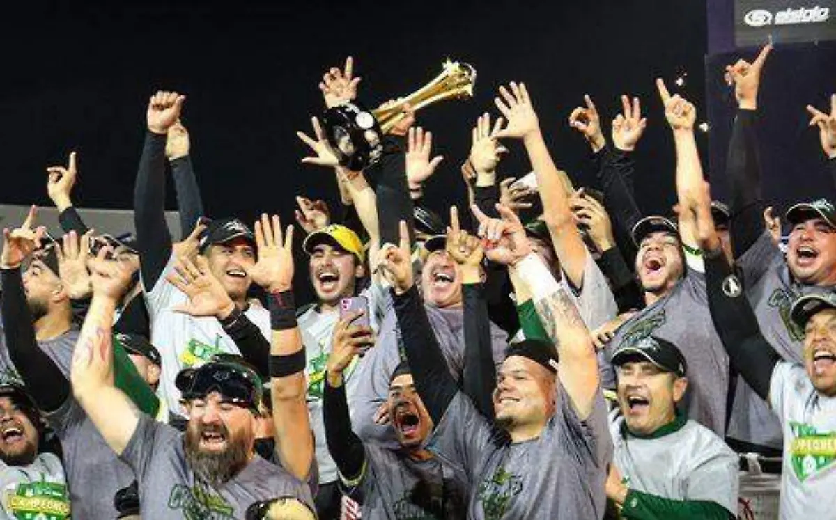 WhatsApp Image 2023-01-30 at 07.41.47