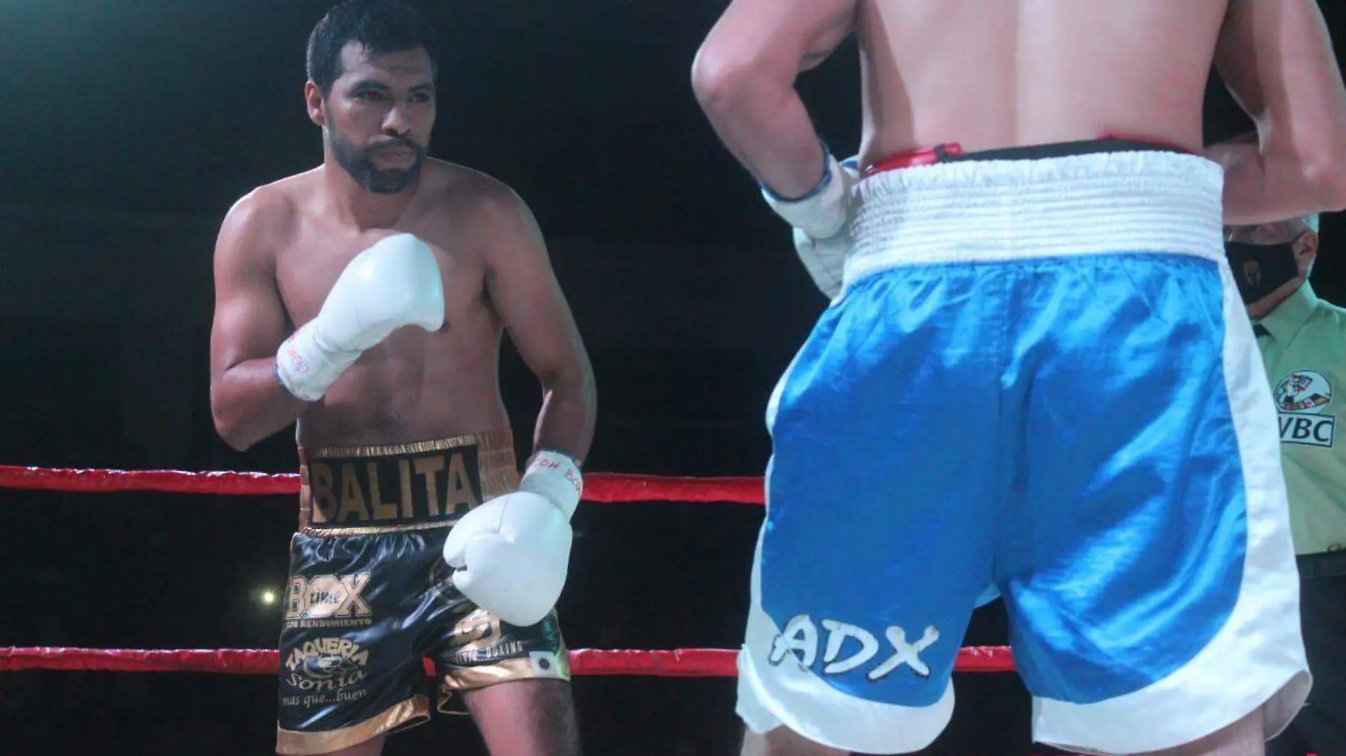 box-sinaloa