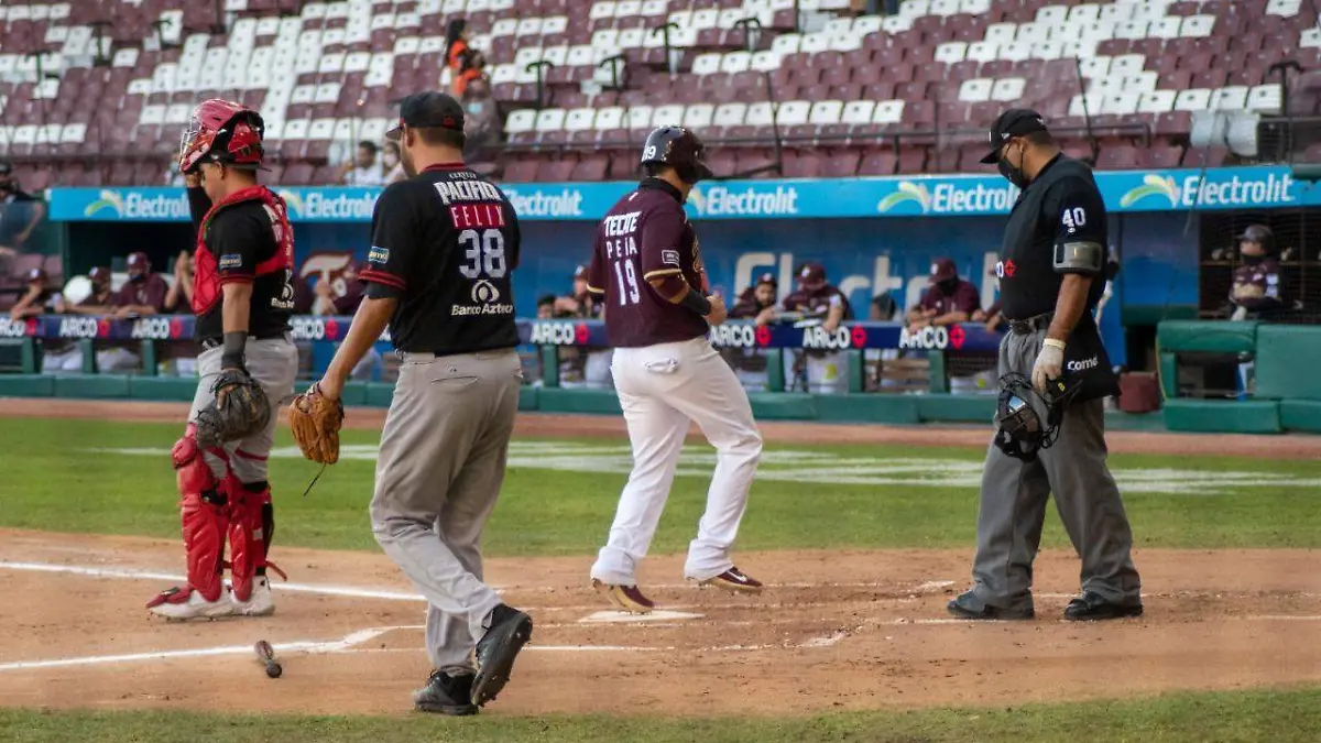 tomateros 4