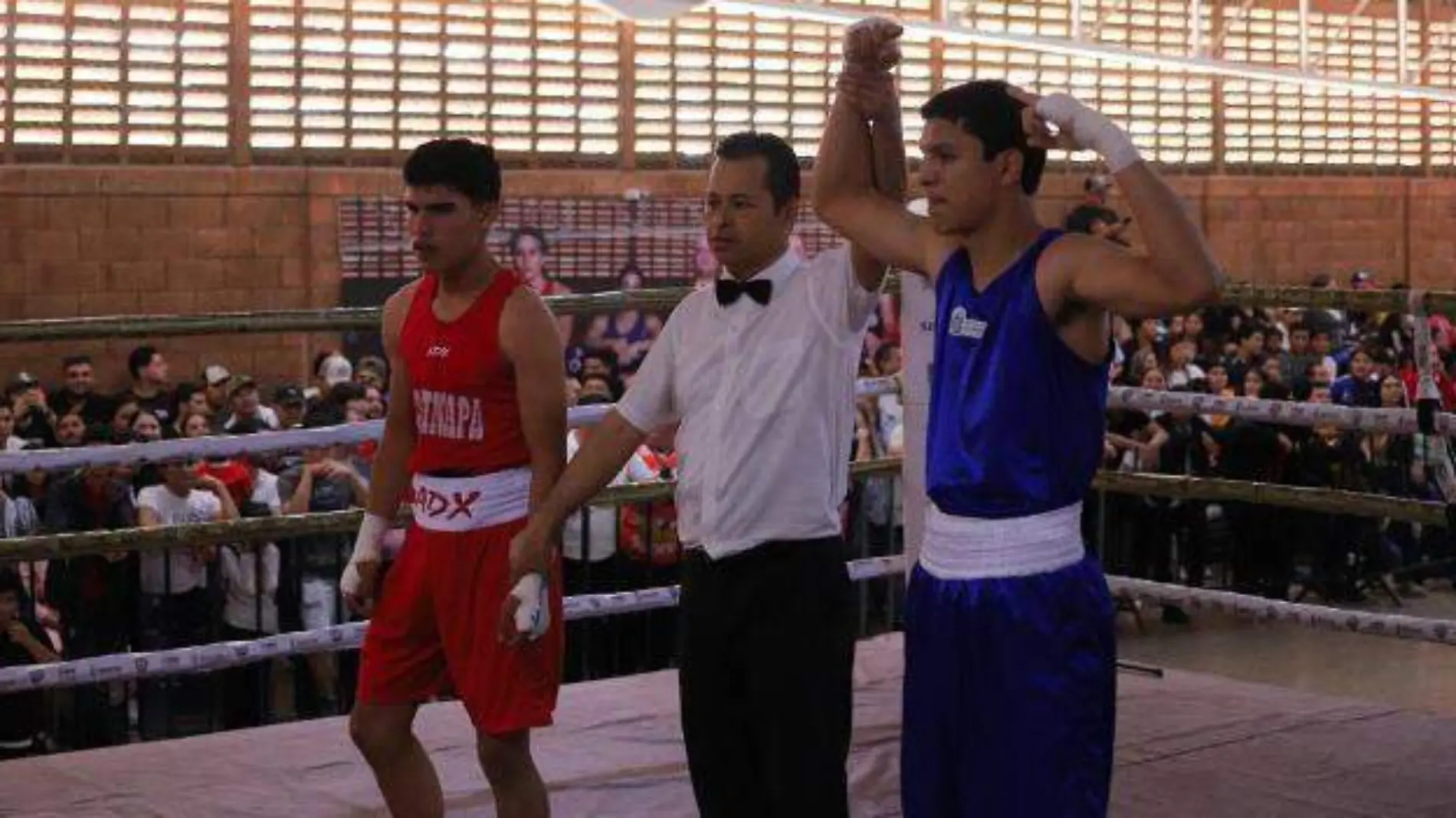 boxeo