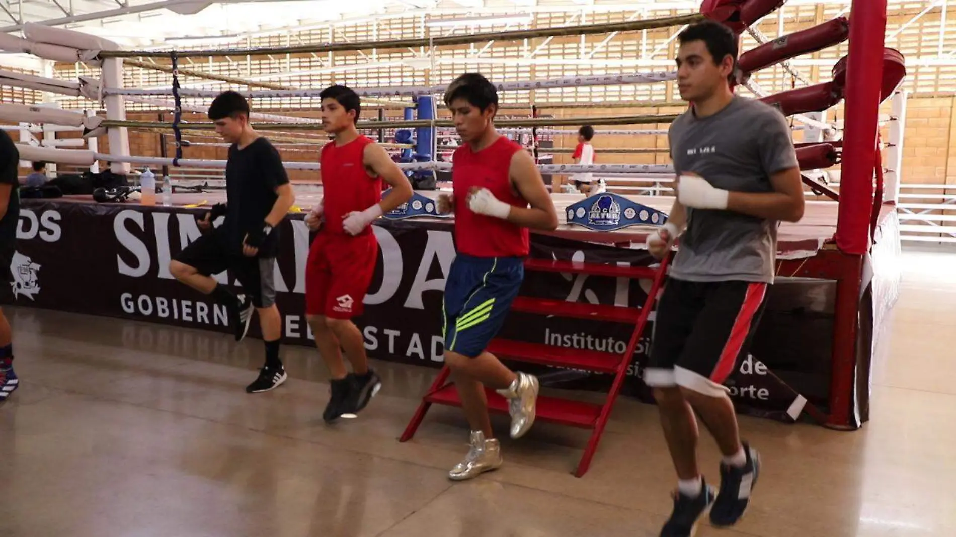 gimnasio-box