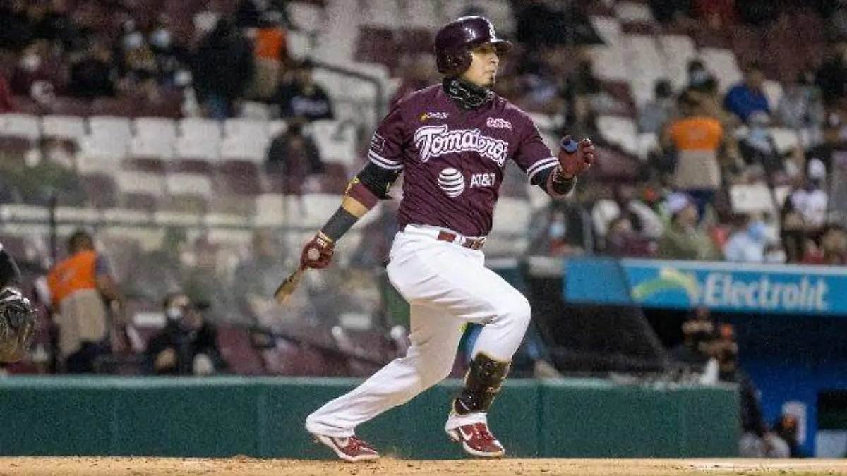 TOMATEROS DOS