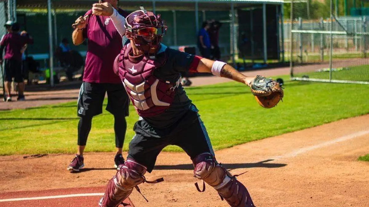 -TOMATEROS-a-la-casa-de-la-corona1-