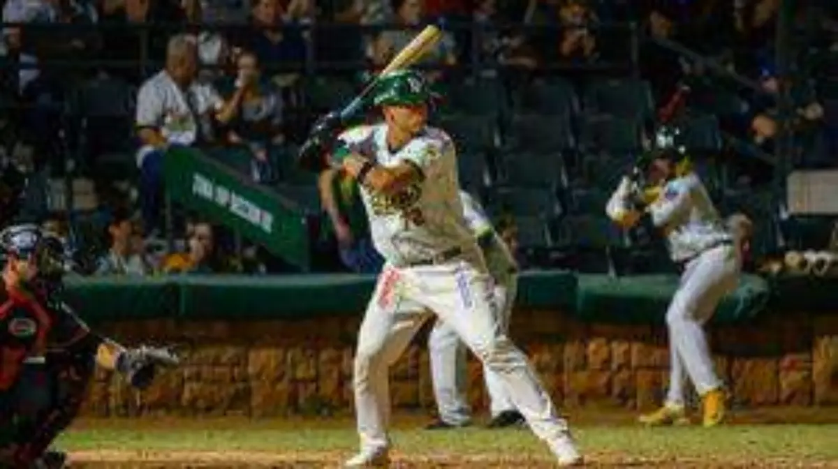 WhatsApp Image 2023-01-29 at 12.56.35