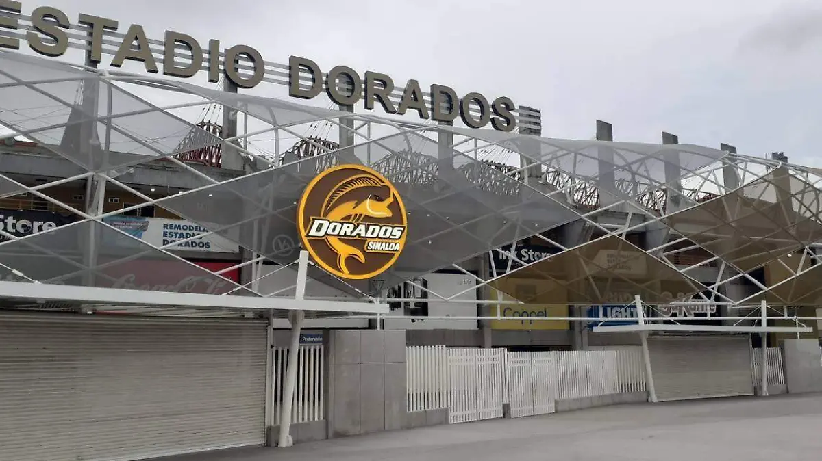 estadio