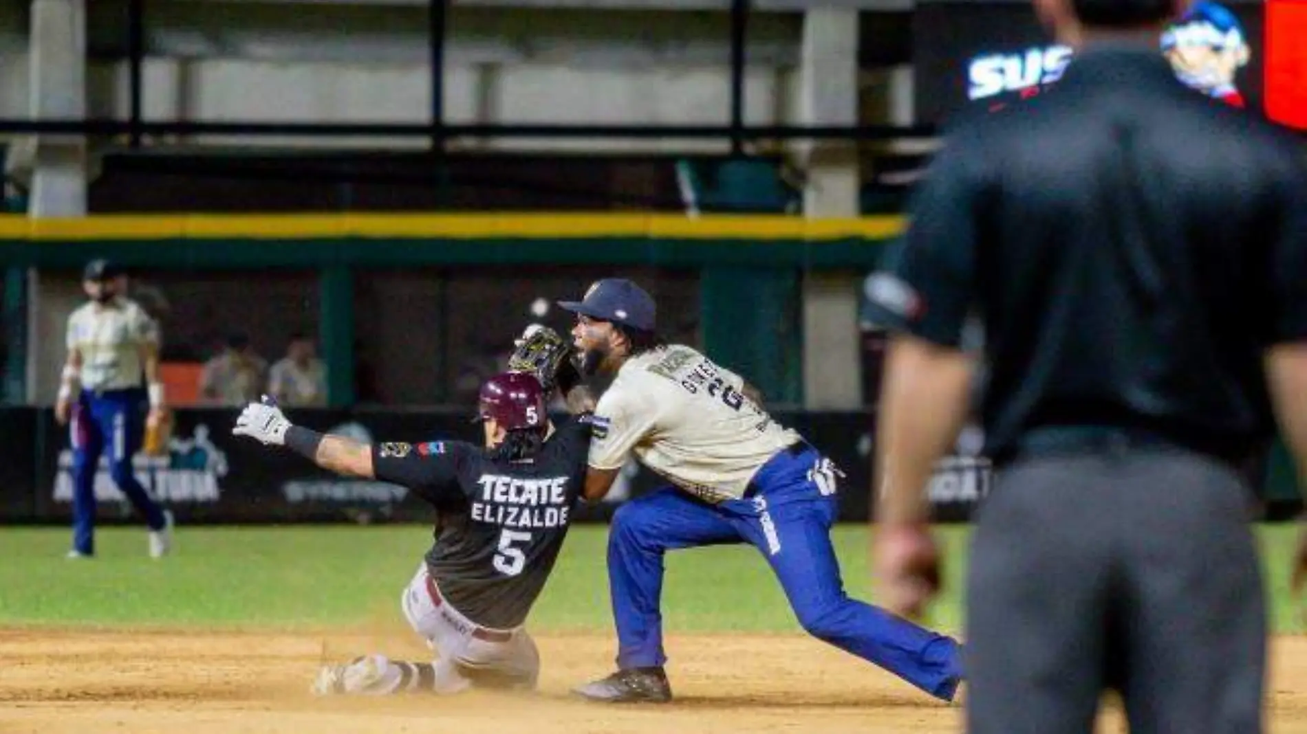 tomateros