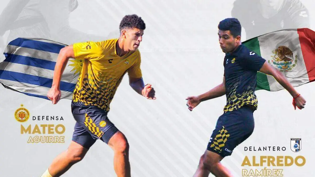Refuerzos dorados