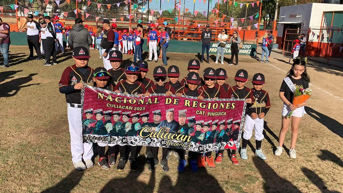 liga-de-beisbol-recursos-sobrevive