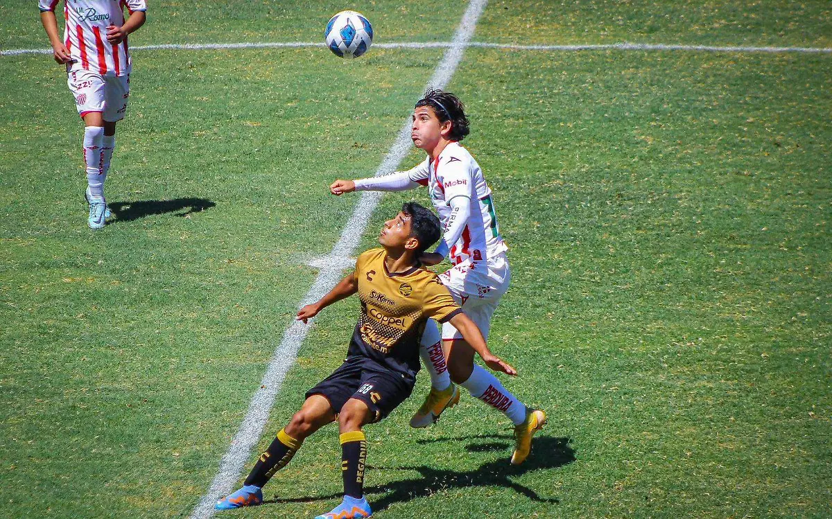 WhatsApp Image 2023-04-20 at 14.10.52