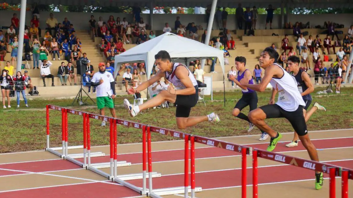 Imagen de WhatsApp 2023-07-23 a las 13.27.49