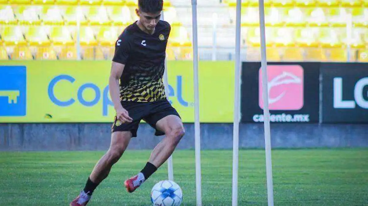 david-osuna-dorados