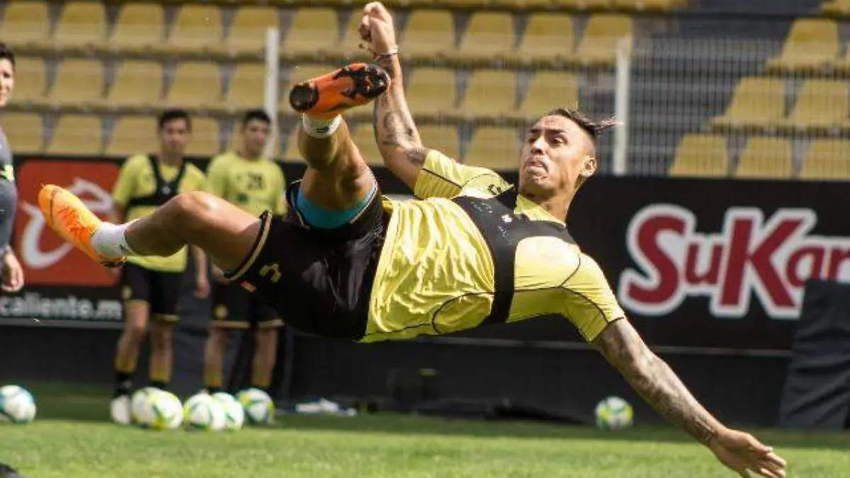 DORADOS