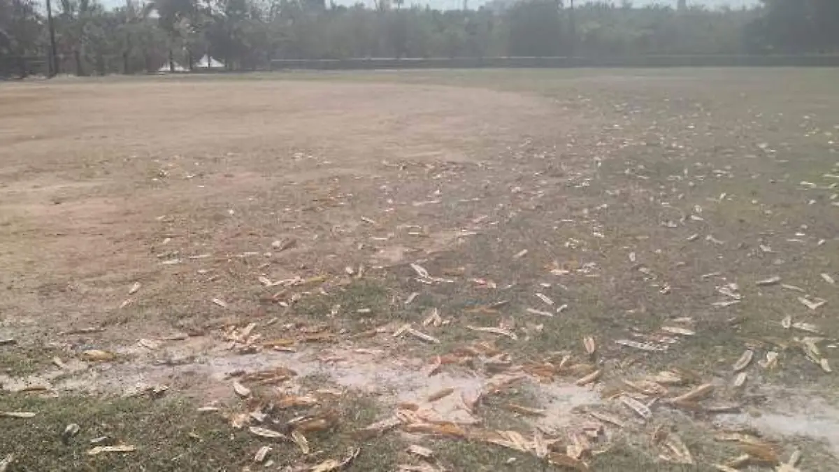 Parque-eme-uno