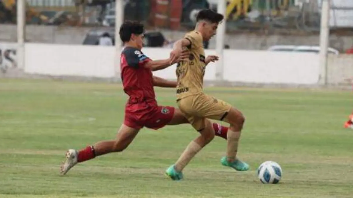 dorados