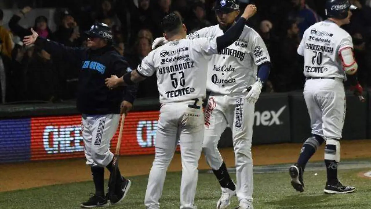 algodoneros