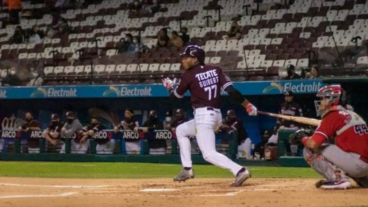 TOMATEROS TRES