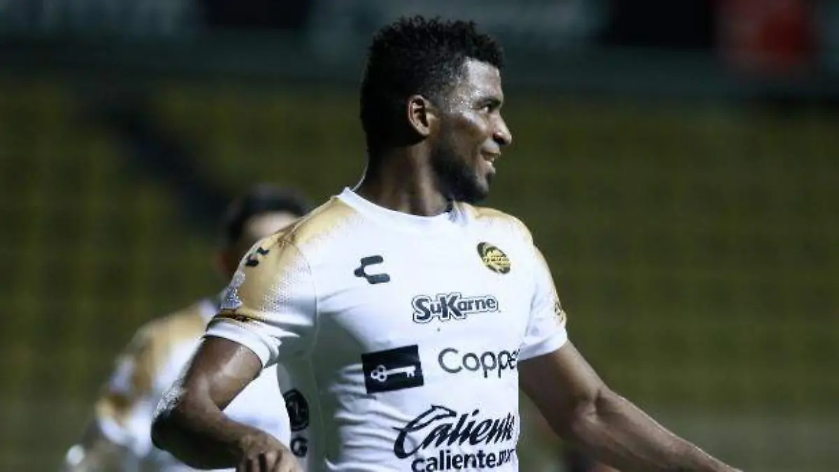 dorados