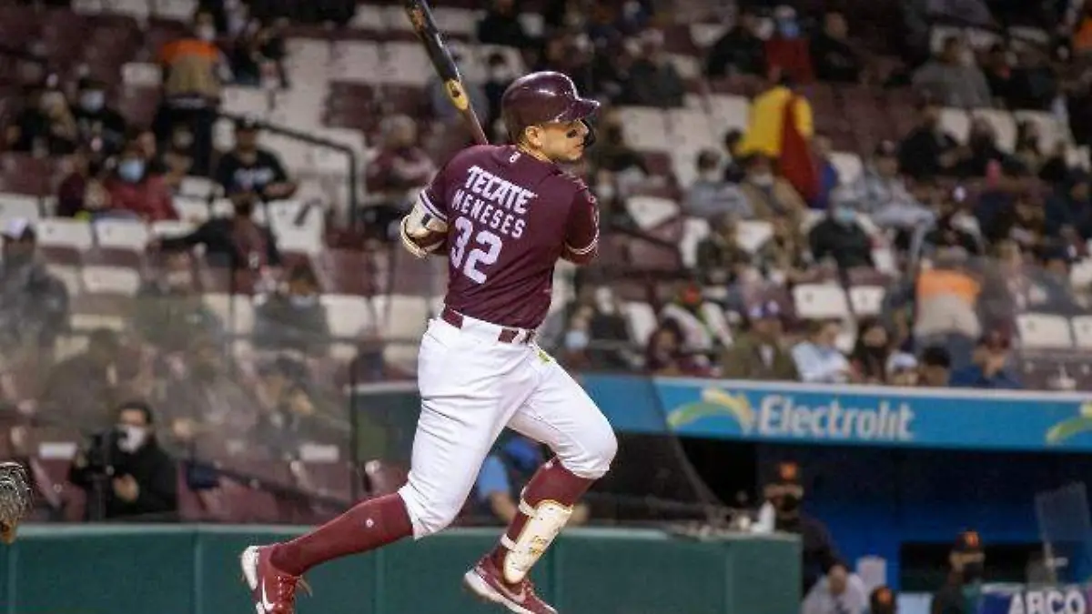 TOMATEROS TRES
