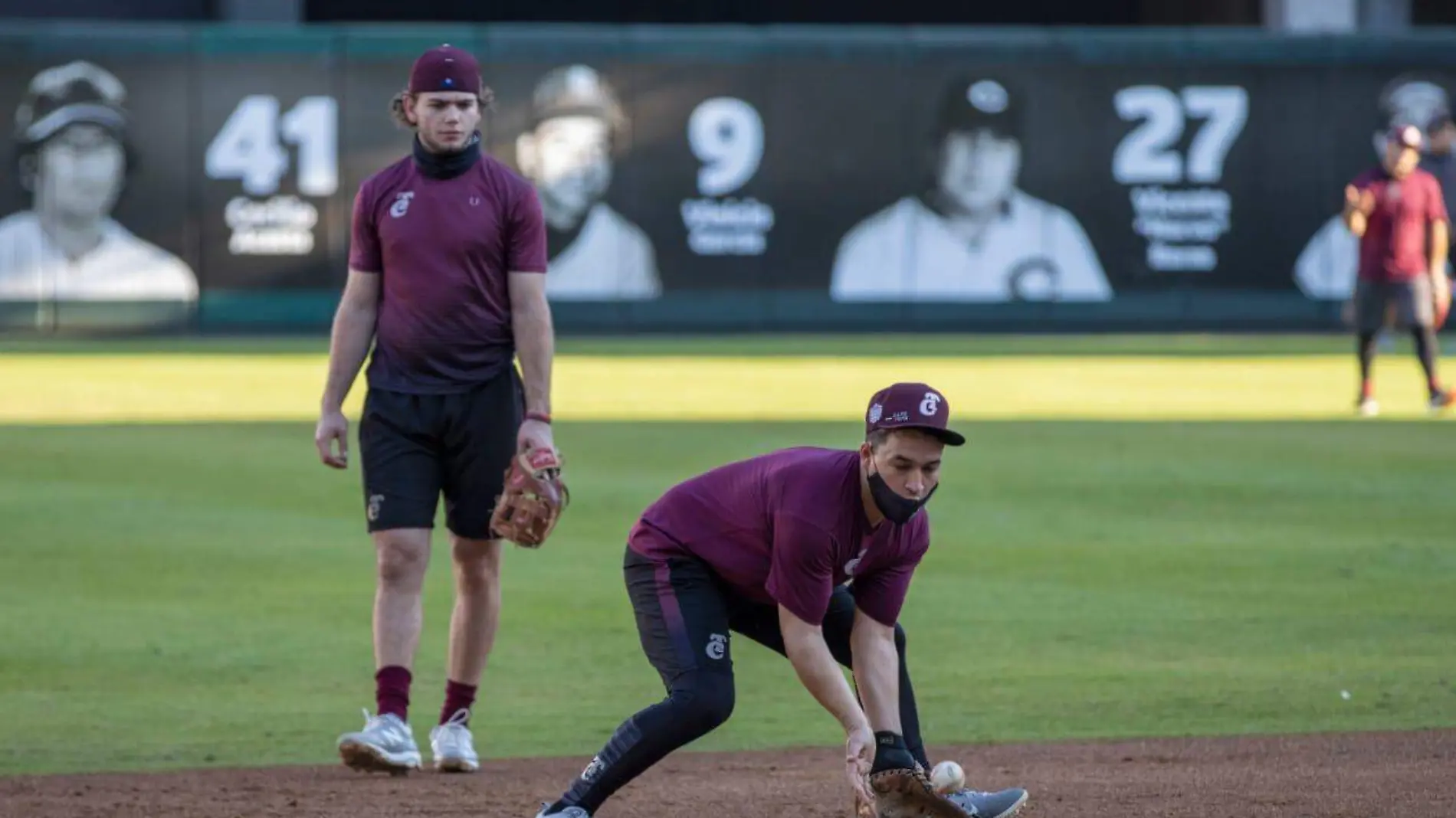 tomateros