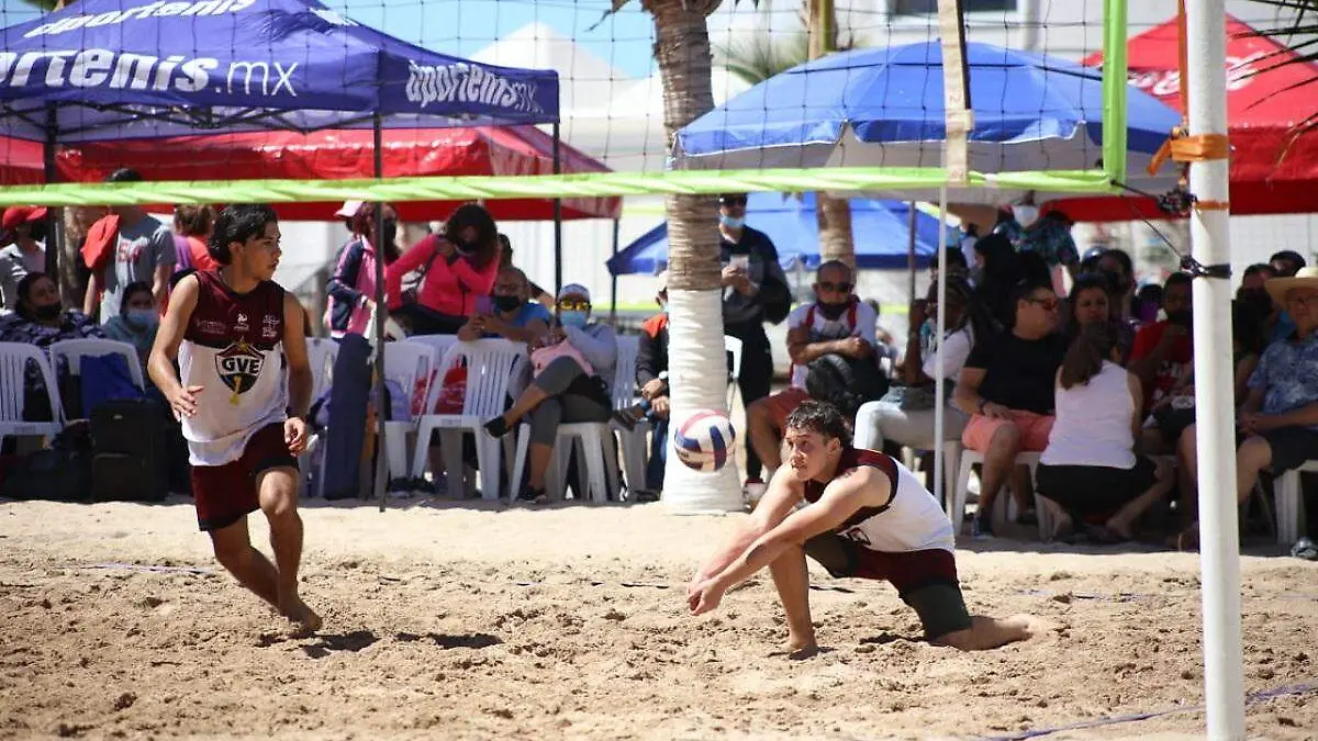 d8c6d842-5c72-4860-a597-e85bb1c6f04f