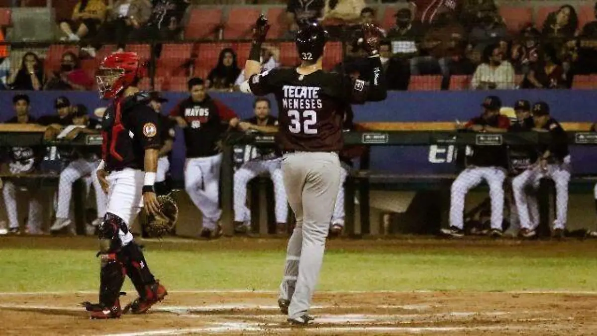 tomateros