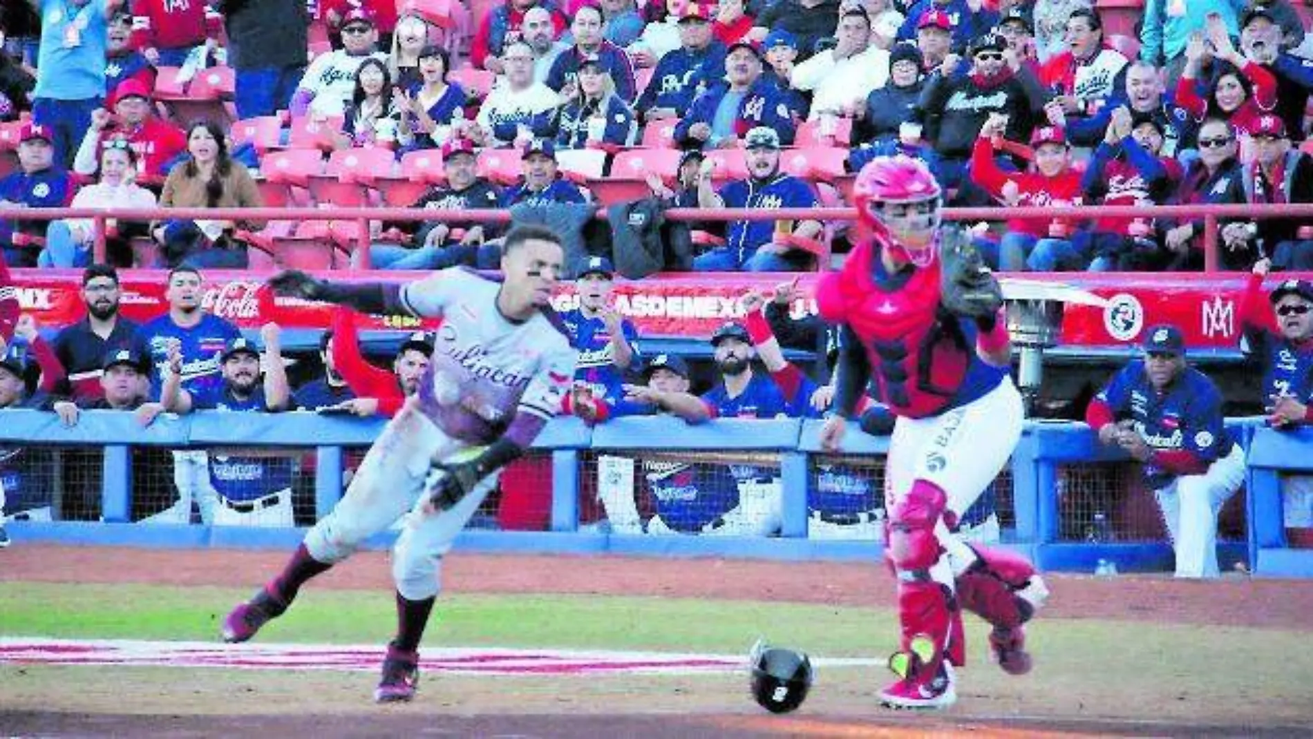 TOMATEROS6E