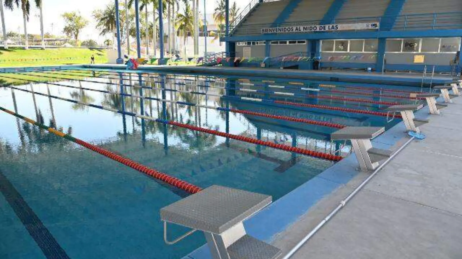 escuela-natacion