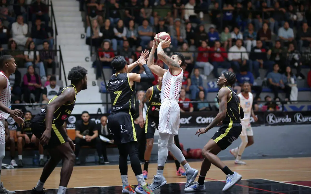 WhatsApp Image 2023-03-28 at 09.26.34