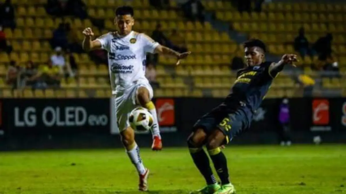 dorados