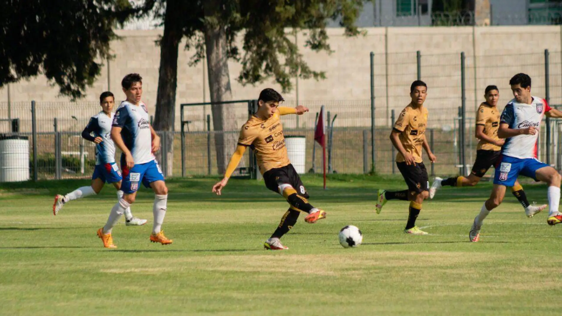 dorados-de-sinaloa-fut