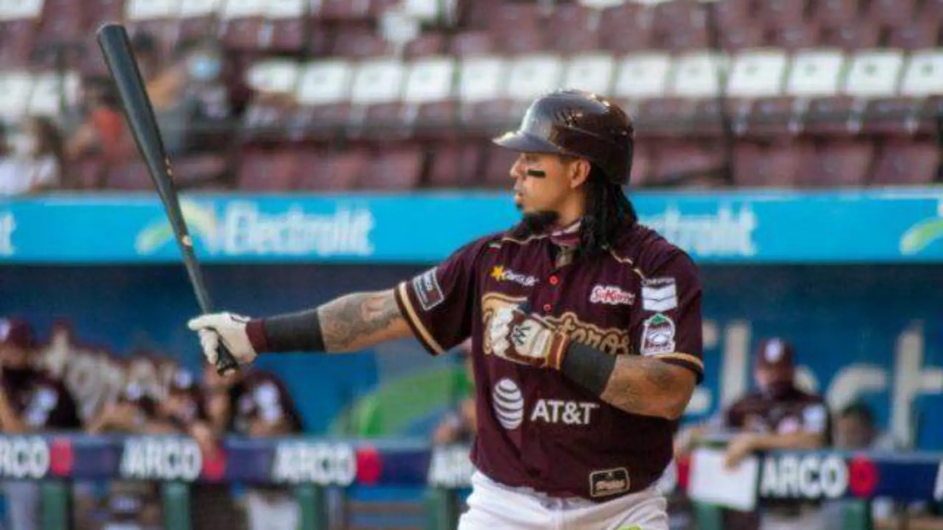 ELIZALDETOMATEROS