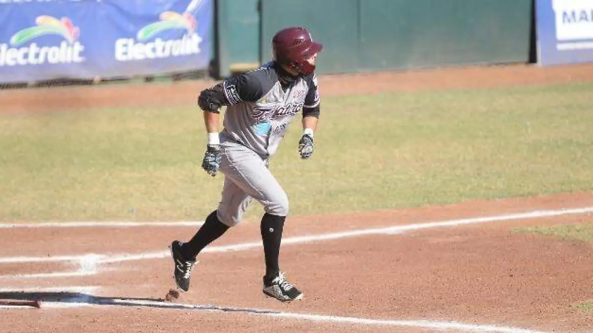 TOMATEROS UNO