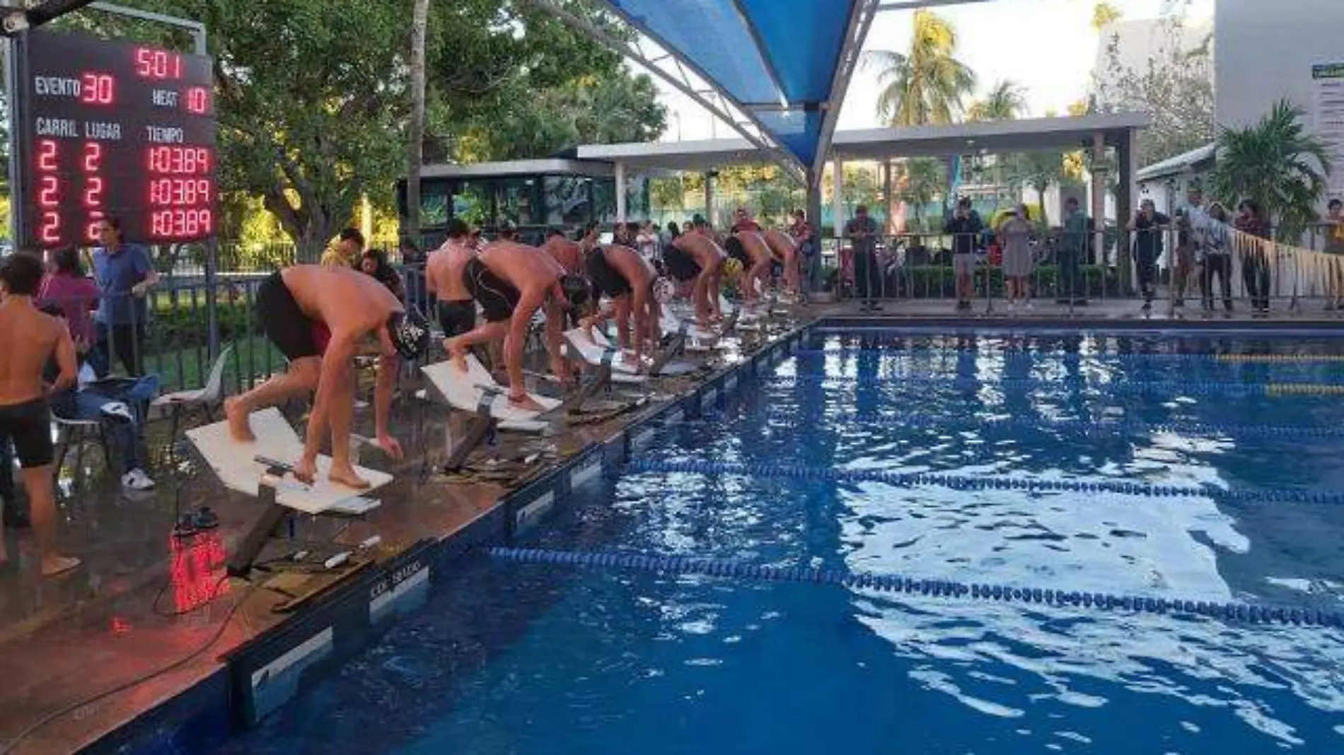 natacion