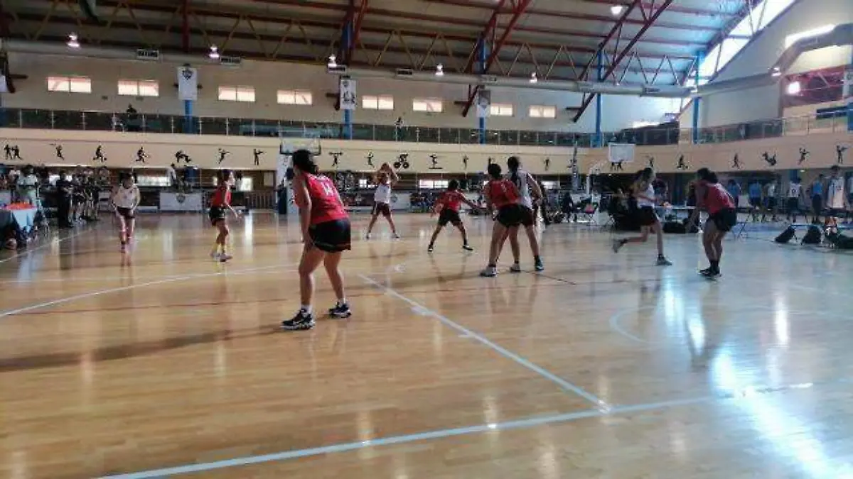 basket