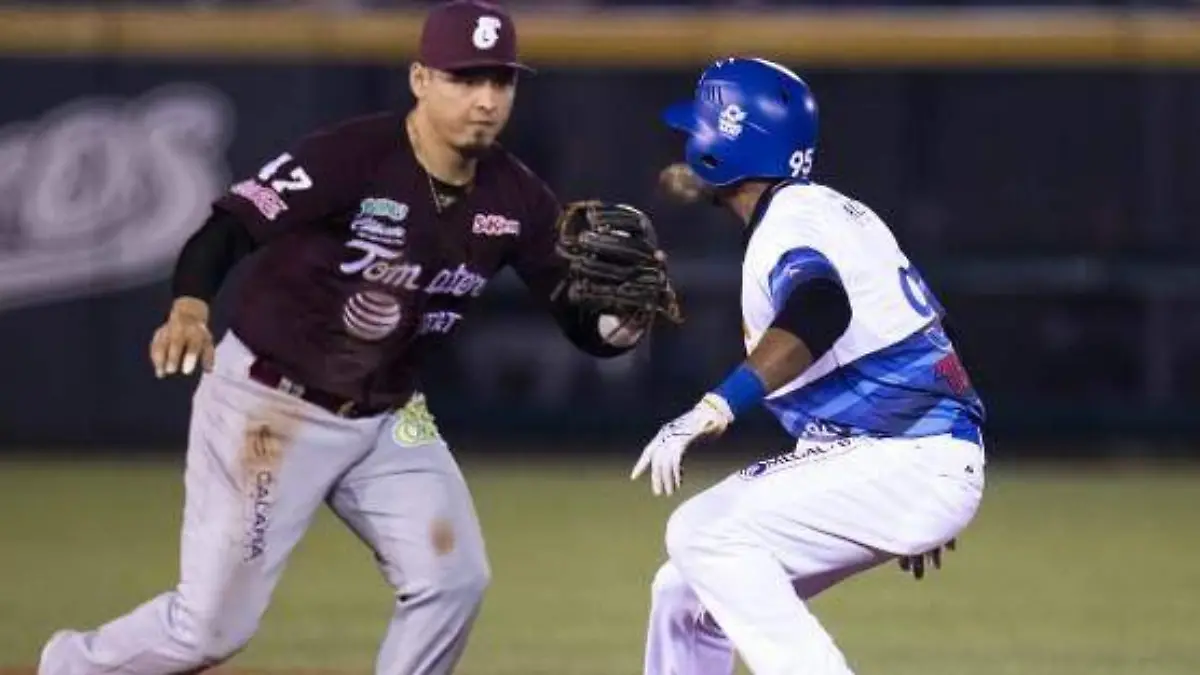 TOMATEROS UNO
