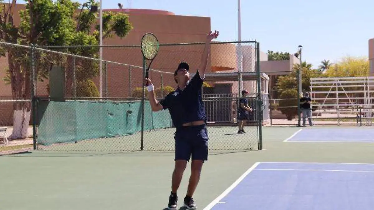 tenis