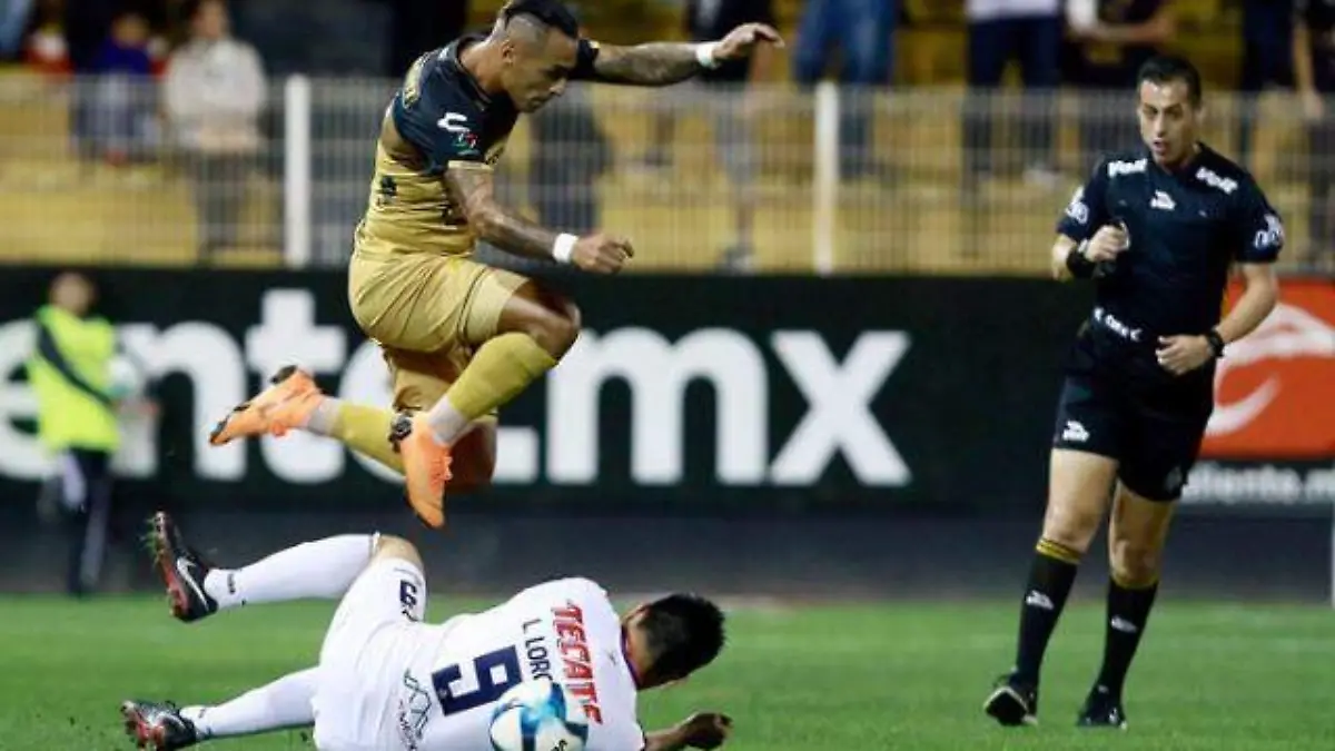 DORADOS