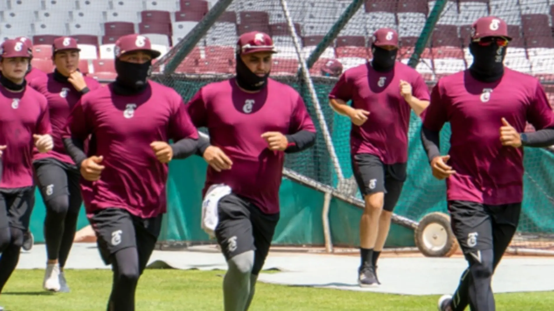 Tomateros