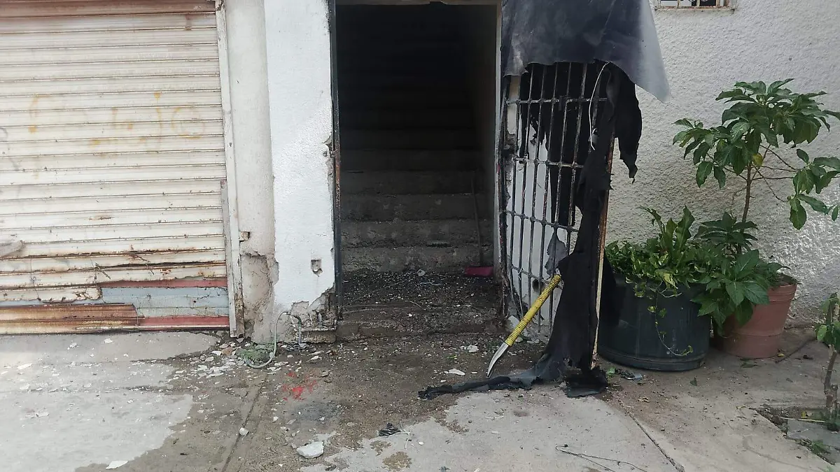 WhatsApp Image 2024-11-17 at 12.03.43 PM