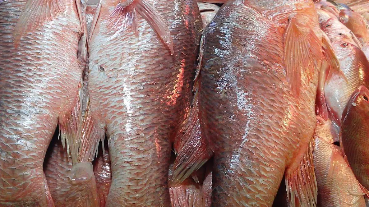 92444388-e05c-4fd5-a679-6811924a3d45