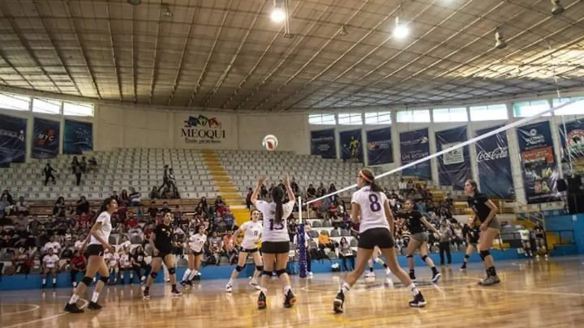 d420b85c-8b8a-41e5-9915-165da173e8ca