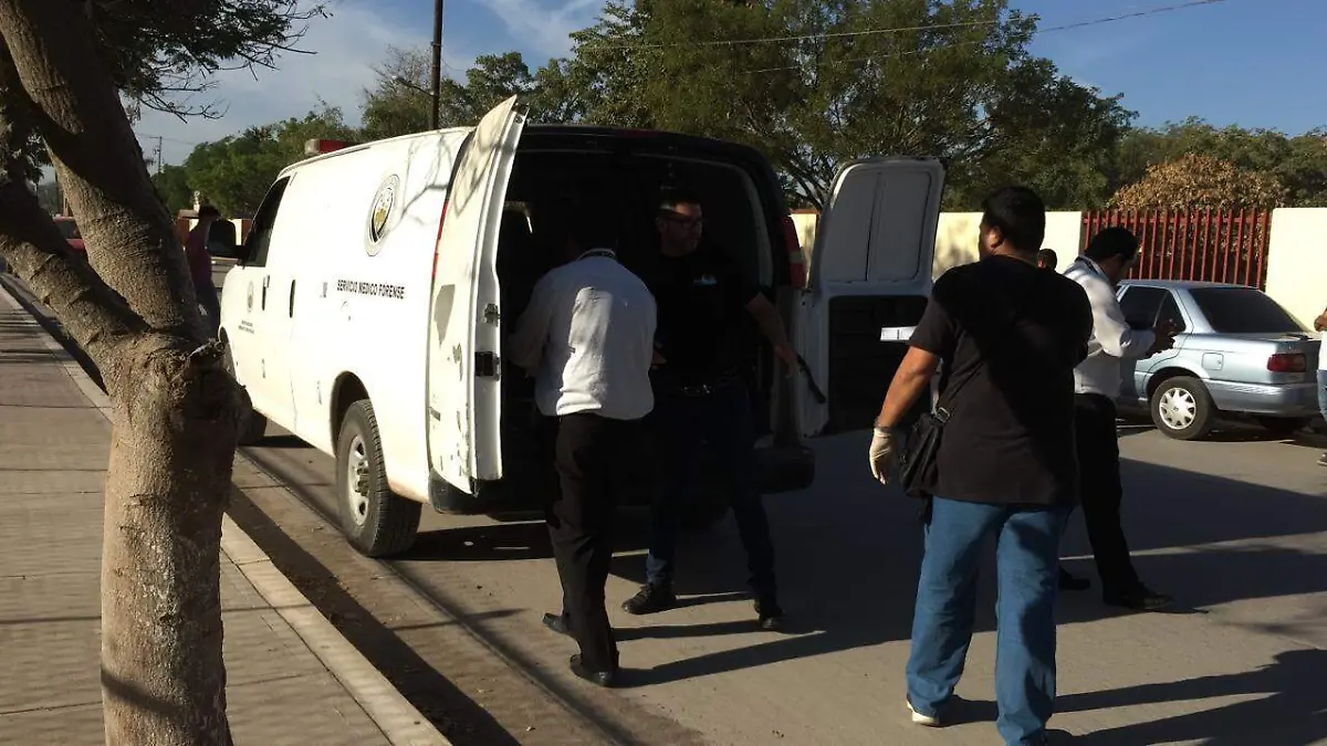 947f7853-da32-41ec-9bf9-13173dab26cf