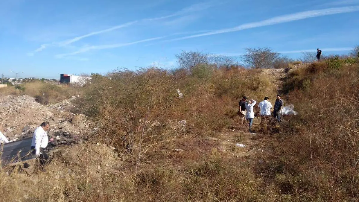 d0c7ecf7-fcb8-470a-88b7-8f072107d90b