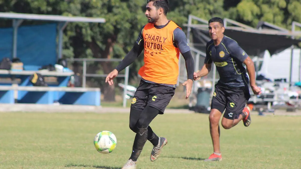 b9b897d0-60b6-4668-93dd-9687d4b525d9