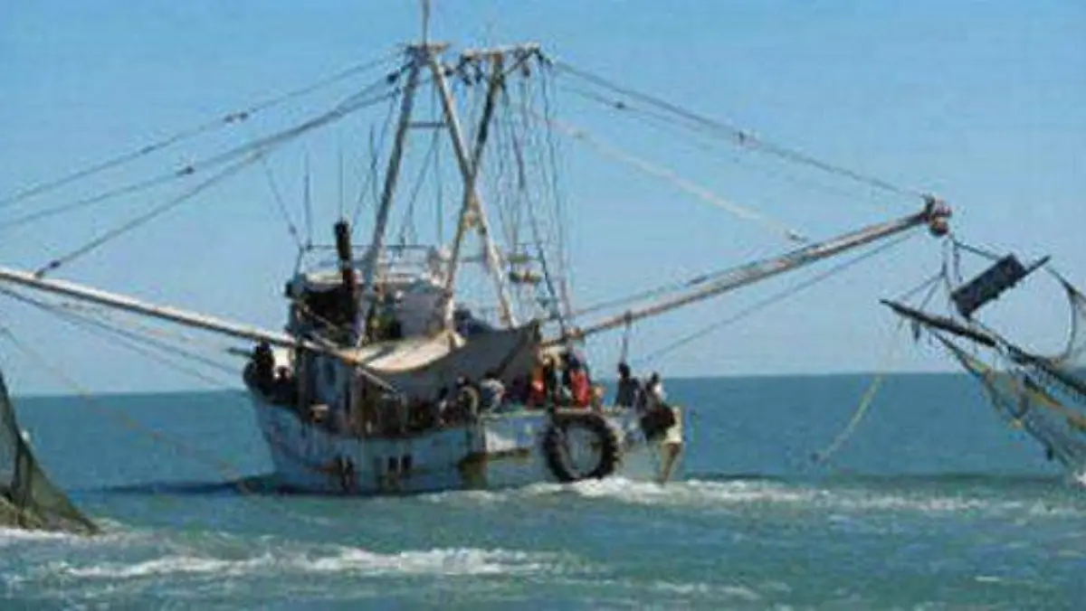 Levanta-de-la-veda-de-camarón-en-Sonora-580x284