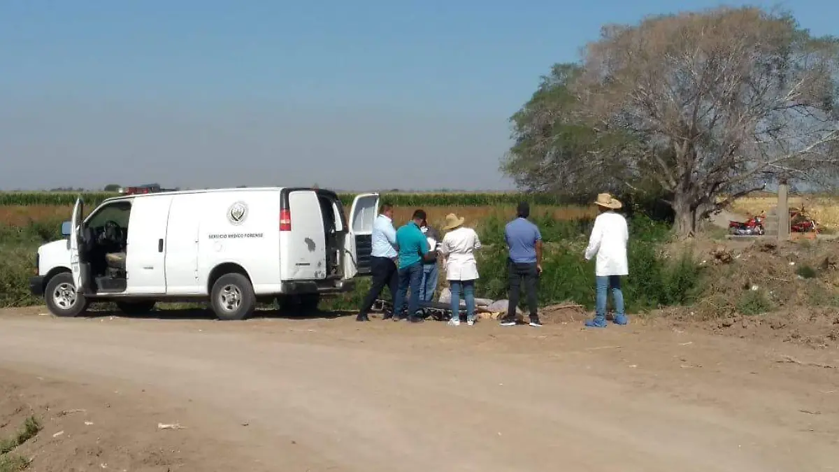 f63aae7f-83a5-4a10-84b3-e80fb42ed3d0