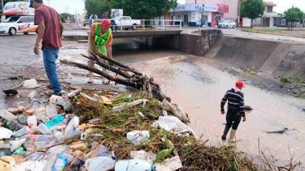 basuraarroyo