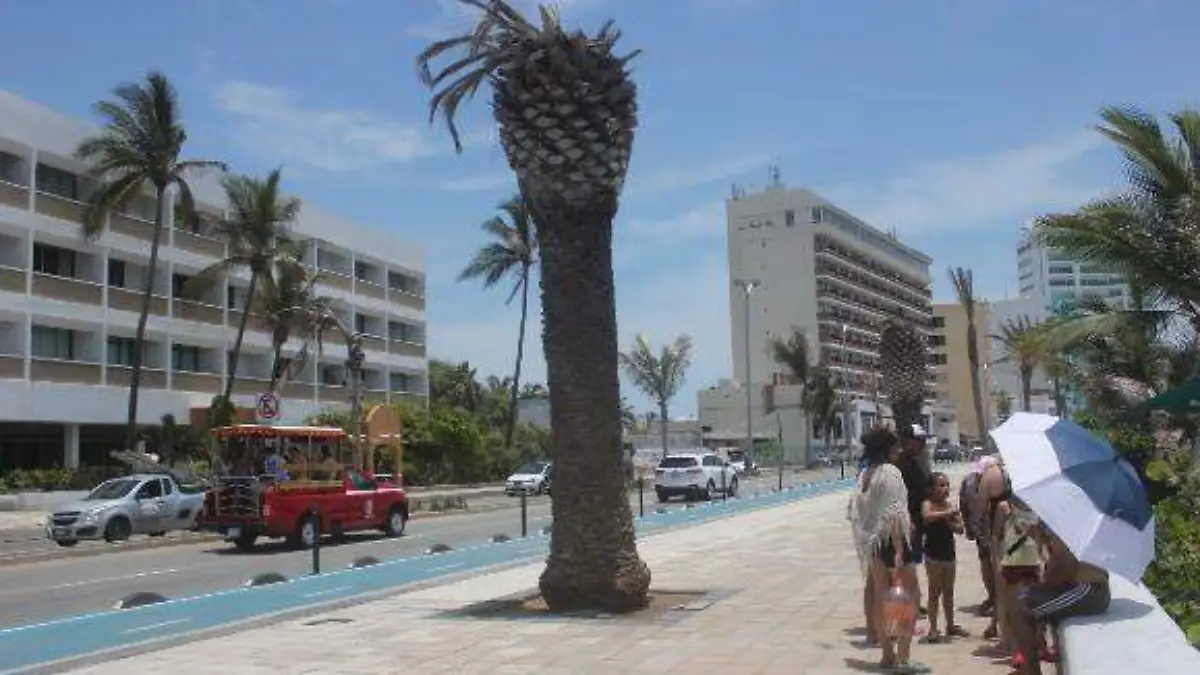 MAZA DOS